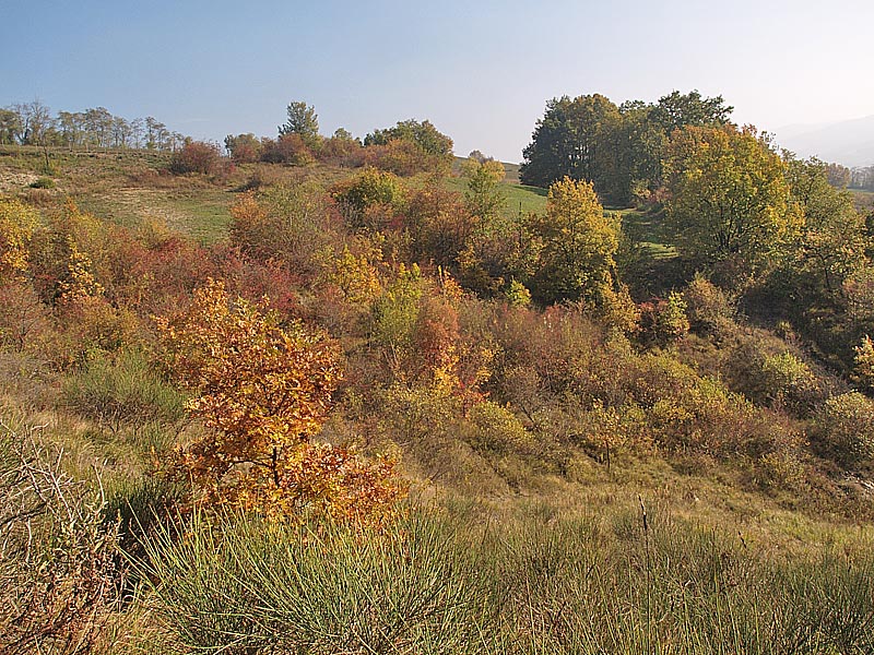 Oasi naturalistica del Carmine